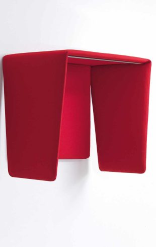 caimi_cocker (2)