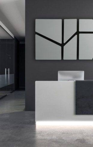 Contemporary office interior with reception desk and copy space on wall. Mock up, 3D Rendering